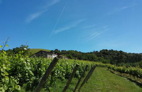 Agroturismo Erlete Goikoa -ESTAMOS EN EL CAMINO DE SANTIAGO -WE ARE ON THE CAMINO DE SANTIAGO- SENDERISMO-RUTAS Y BICICLETA - Photo 36