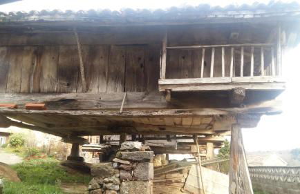 El Requexu de Cervera - Foto 35