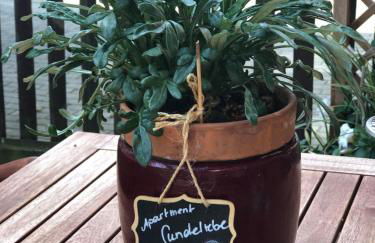 Ferienapartments Spreewaldwiesen - Foto 37