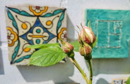 Kleine Oase - Foto 36