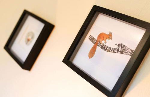 Red Squirrel Cottage, Family & Pet Friendly Adventure Retreat, Strathdon, Aberdeenshire - Photo 53