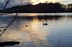 Tarnside Cottages - Foto 26