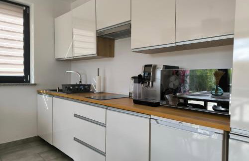 Blu Raj - domy w Sudetach - Foto 21