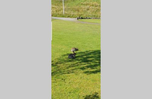 Uig Chalets Idrigill Hill Chalet - Foto 38