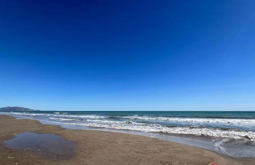 El Mirador - Photo 44