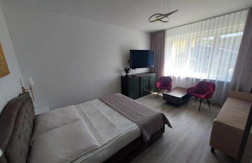 Pokoje gościnne Silver - Foto 24