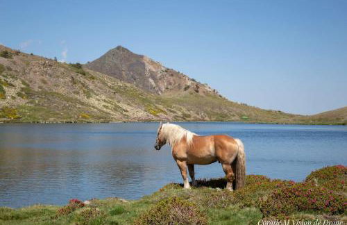 Gite CATHARE en OCCITANIE - Foto 47