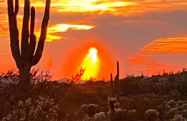 Kimberly Surprise - Foto 89