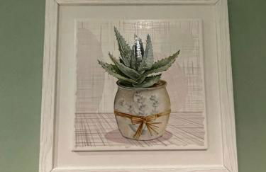 Il Cactus - Photo 17