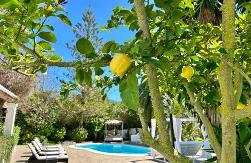 Stylish Ibiza Villa Near Beaches Private Pool & Lush Garden - Foto 36