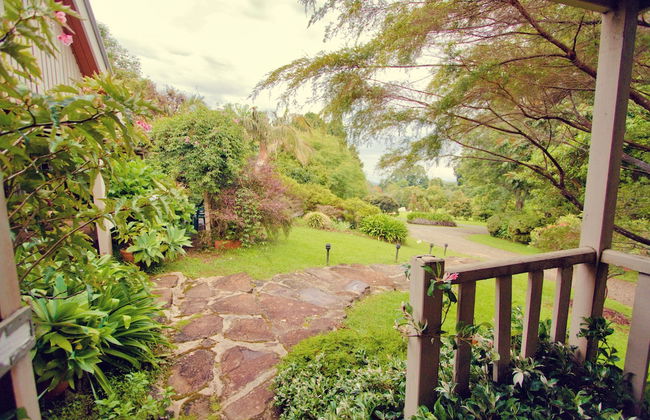 Mt Glorious Getaways - Foto 36
