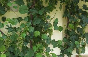 Lieblingsplatz - Foto 29