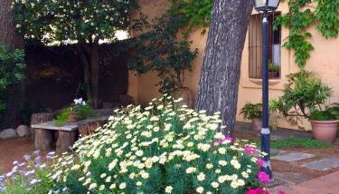 Casa de pueblo con jardín - Foto 4