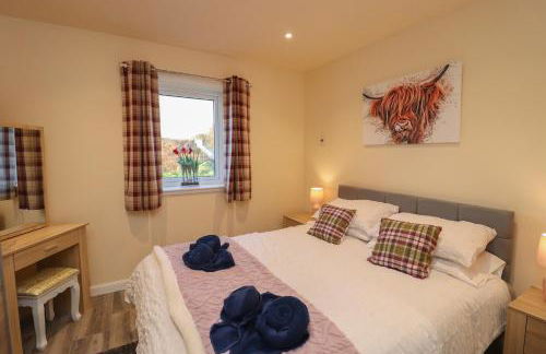 Red Squirrel - Foto 14