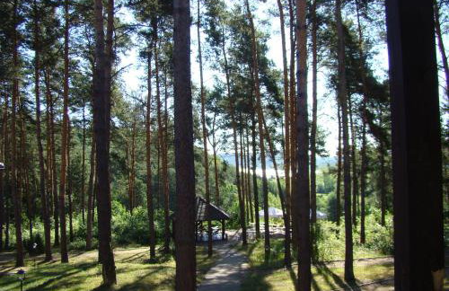 Willa Wellness - Foto 7