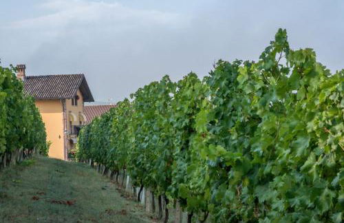 Mongalletto - Foto 39