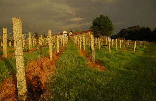 Quinta da Casa Alta - Foto 61