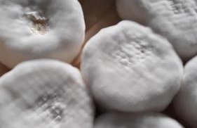 Kozy i Róże - Foto 59