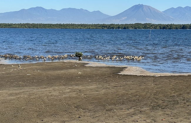 Paradise Bay - Foto 54