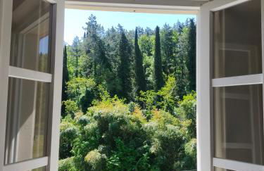 Casa Malù near Chianti - Foto 28