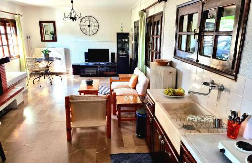 Spacious farmhouse with big yard and fireplace - Foto 4