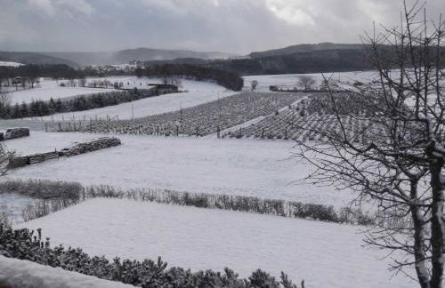 Ferienwohnung Haus Weitblick - Foto 13