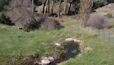 De Brevas A Higos - Foto 5