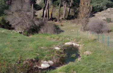 De Brevas A Higos - Foto 5