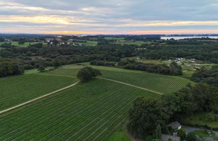 Luxueuse Longère 350m2 "Le Grand Kerfra" au Vignoble Domaine Lamballe, Baden, Golfe du Morbihan - Photo 35