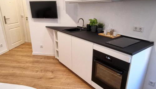 Modernes Apartment im Zentrum von Karlsruhe - Photo 2, stove, pet friendly