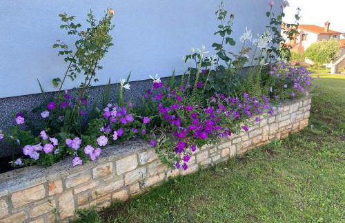 Holiday Home Mihaela - Foto 54