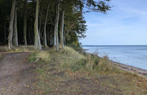 Ferienwohnung Rosengarten mit Meerblick - Photo 12