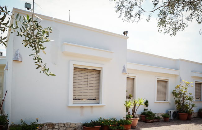 Grillo-Villa Anna - Foto 23