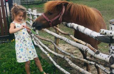 Apartamenty Pod Łysicą & SPA - przy stoku, basen, jacuzzi, sauna - Foto 116