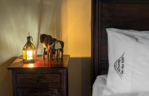 Dandy Villas Amfiklia - Guest House Dafne - Garden - Foto 6