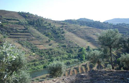 Casa Oliveiras do Douro - Foto 25