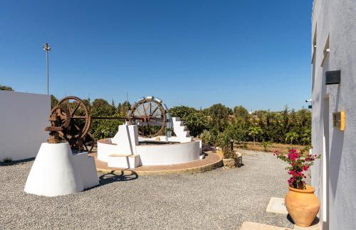 Alfarrobeiras NATURE - Photo 22