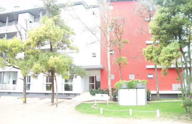 Avutarda de Carilo - Photo 68