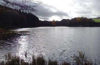 Ferienwohnung Kessler's Eifeldomizil - Foto 47