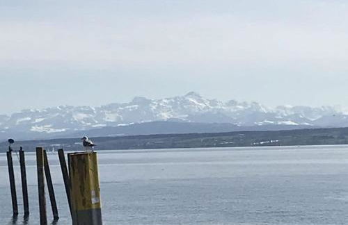 DomiLia Comfortable holiday residence - Foto 32