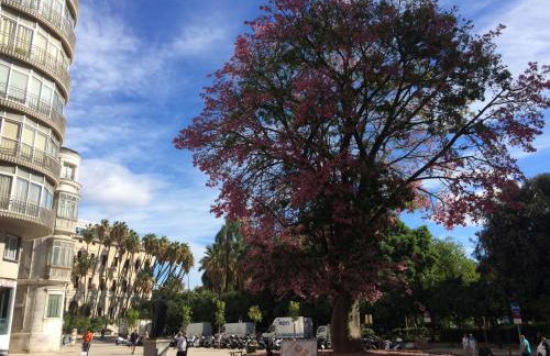 Don Juan de Málaga 2 La Catedral - Photo 28