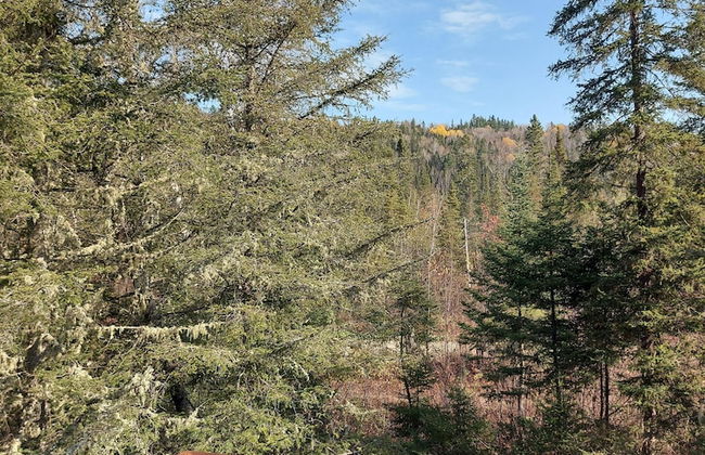 Nice Accommodation at the Grand Héron - Foto 27