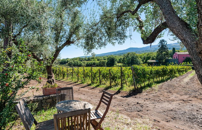 Terrazze dell'Etna - Rooms & Apartments - Foto 44