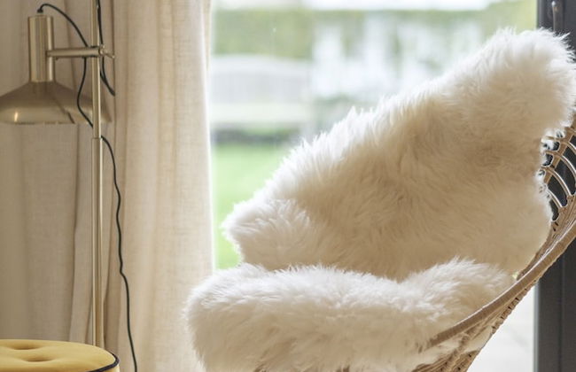 Sea Me If You Can - Foto 18