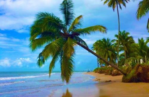 Loft estiloso na praia Ponta de Campina - Foto 37