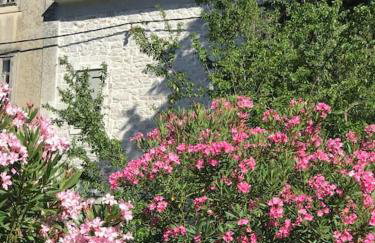 Villa Kapela - Photo 41