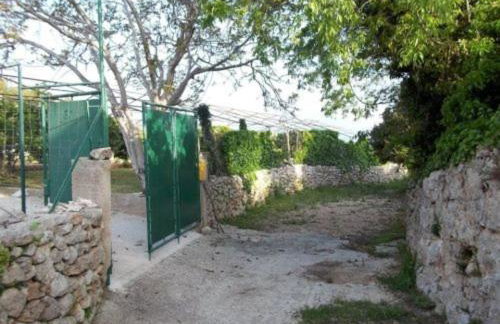 Jenny`s House - Photo 15