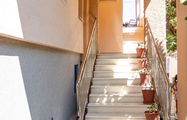 Sea star Danica - Foto 41