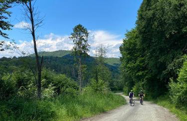 Apartamenty Otulina - Foto 20