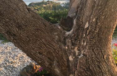 La Terrazza Del Duca - Foto 54